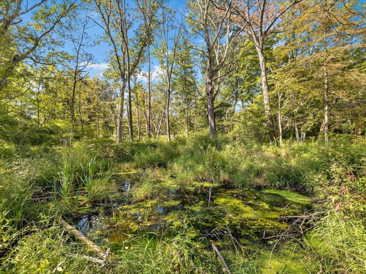 2960 Route 611, Tannersville, Pocono Township Monroe County, Pennsylvania 18372, Land for Development,For Sale,2960 Route 611,1206